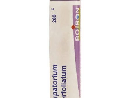 Boiron Homeopathy Eupatorium Perfoliatum For Sale