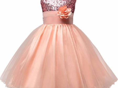 Asmaani Baby Girl s Dark Peach Color Full Length Dress (AS-DRESS-22048) Cheap