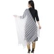 A R Silk Moti Luv Luv Stripe Regular Dupatta White Color Dupatta or Chunni Online now