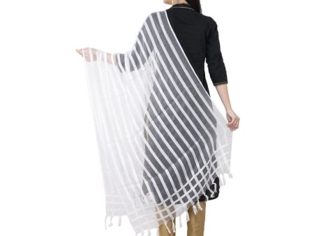 A R Silk Moti Luv Luv Stripe Regular Dupatta White Color Dupatta or Chunni Online now