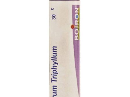 Boiron Homeopathy Arum Triphyllum Supply