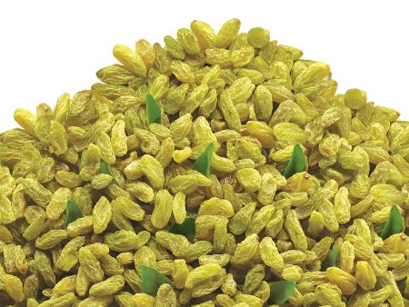 Bikanervala Kishmish (raisins) Online now